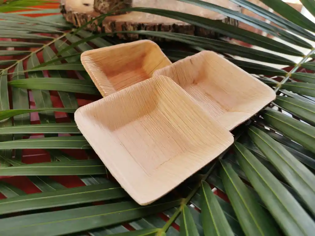 Platos Desechables Ecologicos Cuadrado Mini 9x9 Cms