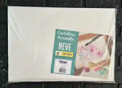 Cartulina Acuarela 1/4 Unidad