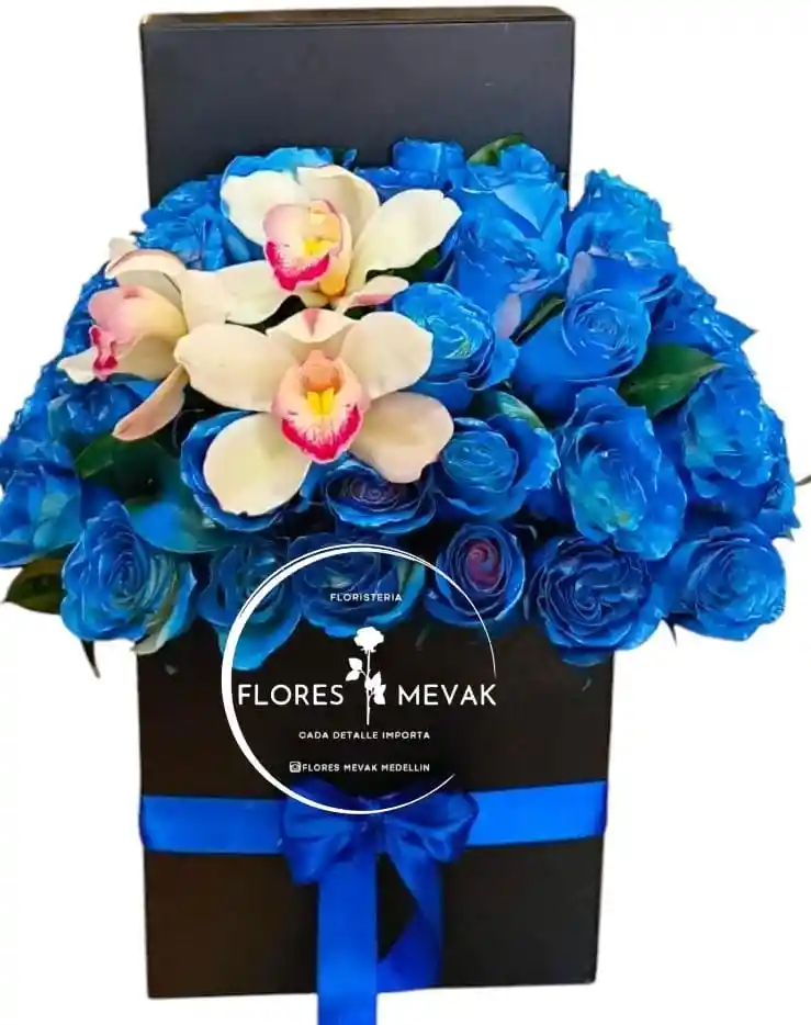 Flores, Rosas Azules Con Orquídeas.