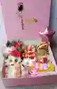 Desayuno Sorpresa #4 (ancheta)