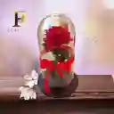 Rosa Preservada Roja