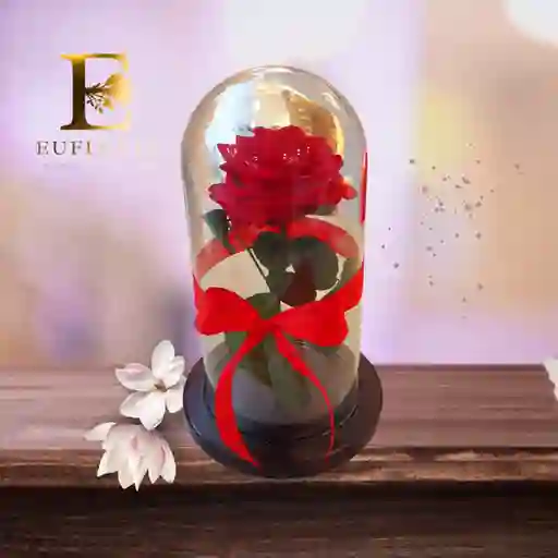 Rosa Preservada Roja