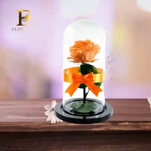 Rosa Preservada Salmon