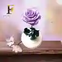 Rosa Preservada Lila