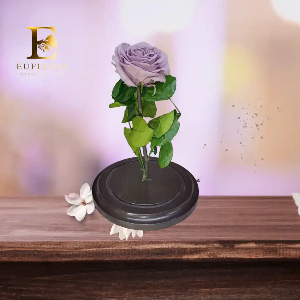 Rosa Preservada Lila