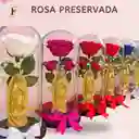 Rosa Preservada Azul Rey