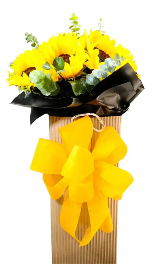 Caja Cami De Girasoles 2124948795