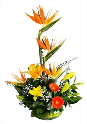 Arreglo De Aves Lirios Y Gerberas