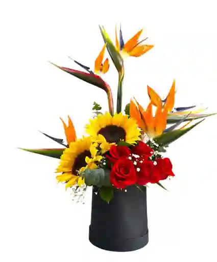 Caja Redonda Exotica Con Aves Girasoles Y Rosas Día De La Madre