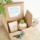 Regalo Mamá Definición De Amor + Caja 30 Frases Motivacionales 🍬