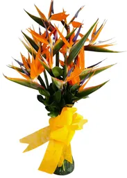 Florero En Aves Del Paraiso