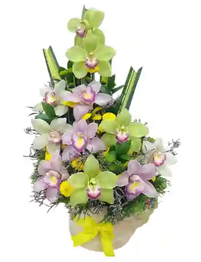 Ramo De Orquídeas