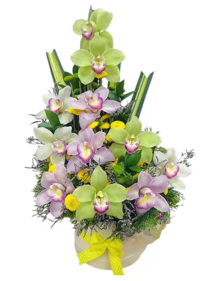 Ramo De Orquídeas