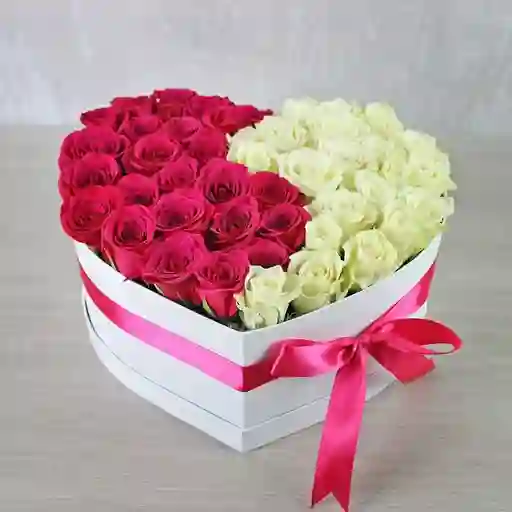 Cajaespecial 14