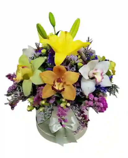 Caja Orquídeas