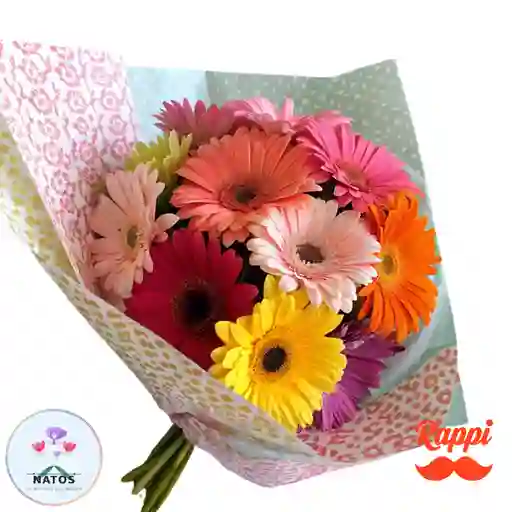 Gerberas