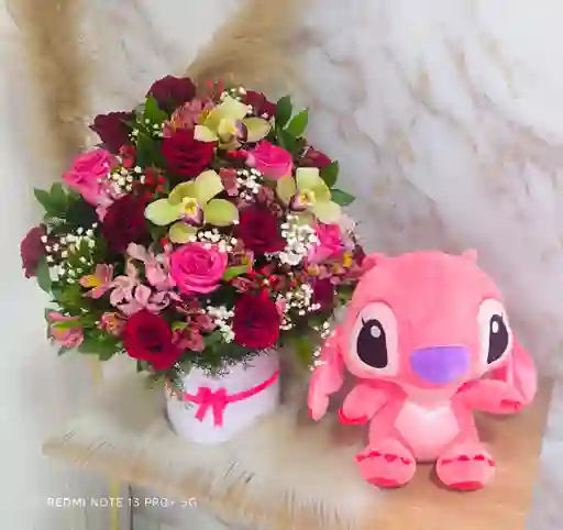 Combo Hermoso Caja Peluche