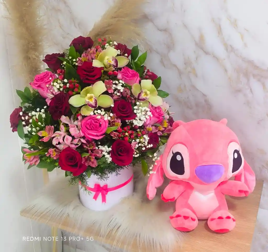 Combo Hermoso Caja Peluche