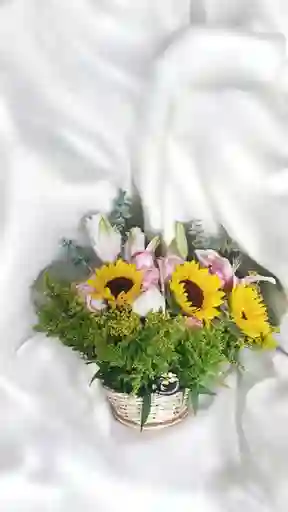 Canasta De Rosas, Girasoles Y Lirios.