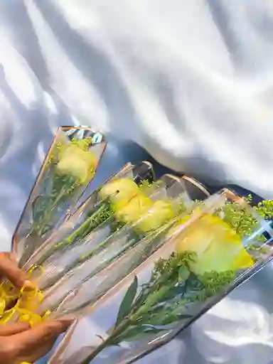 Rosa Amarilla Unidad.