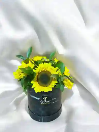 Caja Redonda De Girasoles.