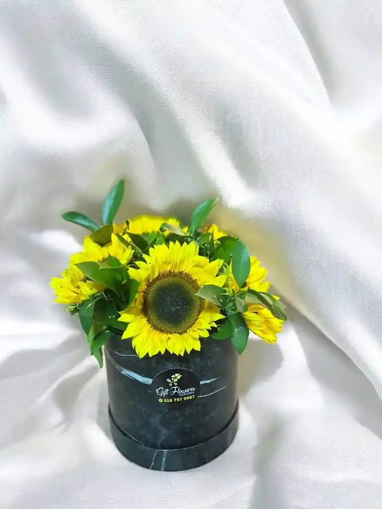 Caja Redonda De Girasoles.