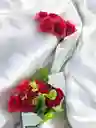 Bouquet De Rosas Rojas.