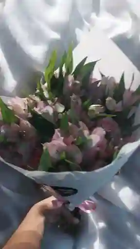 Bouquet De Astromelia Rosada