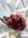 Bouquet De Rosas Rojas Y Astromelia.