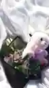 Bouquet De Rosas Moradas Con Peluche