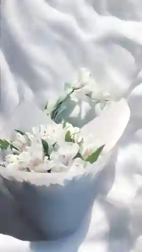 Bouquet De Astromelia Blanca