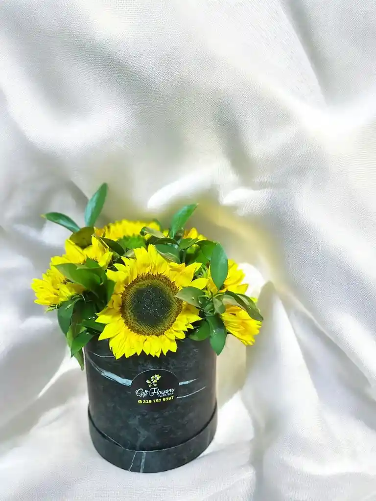 Caja Circular De Girasoles