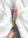 Rosa Unidad