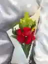 Bouquet De Rosas Rojas Pequeño