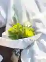 Bouquet De Astromelia Con Rosas Amarillas.