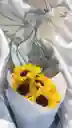 Bouquet De Girasoles