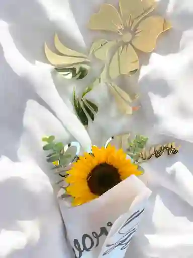 Unidad De Girasol