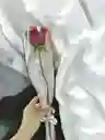 Rosa Unidad Roja