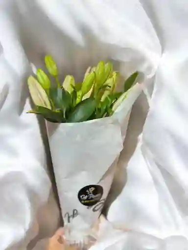 Bouquet De Lirios