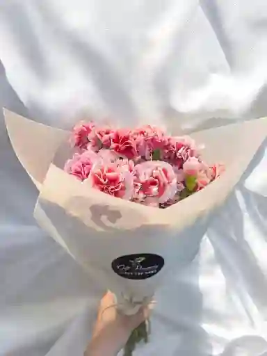 Bouquet De Claveles Rojos