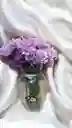 Jarron De Flores Moradas