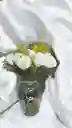 Jarron De Rosas Blancas