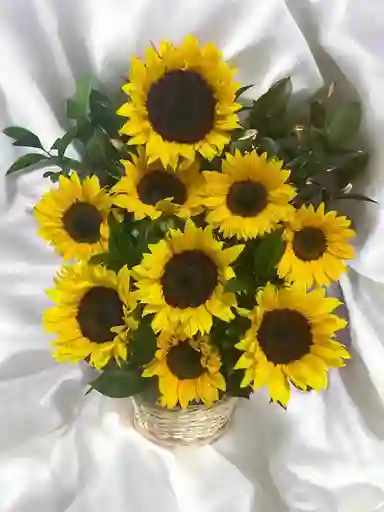 Canasta Con Girasoles Y Ruscus.