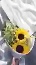 Bouquet De Girasol Con Gypsophilia