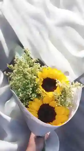 Bouquet De Girasol Con Gypsophilia