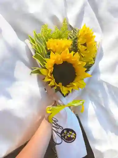 Bouquet De Girasol Con Flores De Ocoa Y Canción De La India