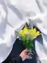 Solitario De Lirio Amarillo Con Rosas, Eucalipto Y Soliago