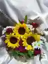 Canas De Rosas, Girasoles Y Margaritas