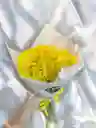 Bouquet De Margarita Amarilla Grande.