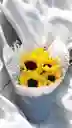 Bouquet De Girasoles